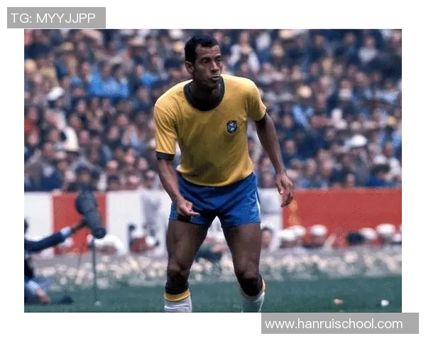 巴西足球明星的魅力与风采展现了美丽与激情的完美结合